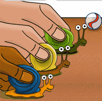 snail-racing-timer